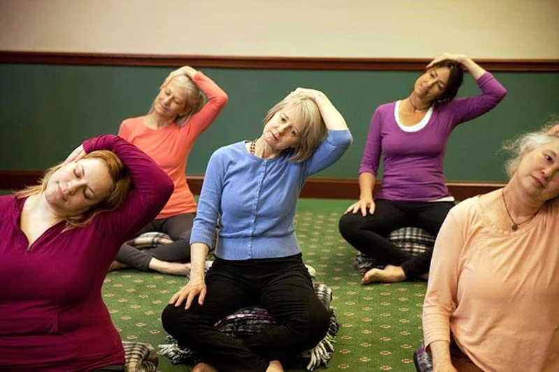 FREE Yoga for Pain Relief NPM 250621